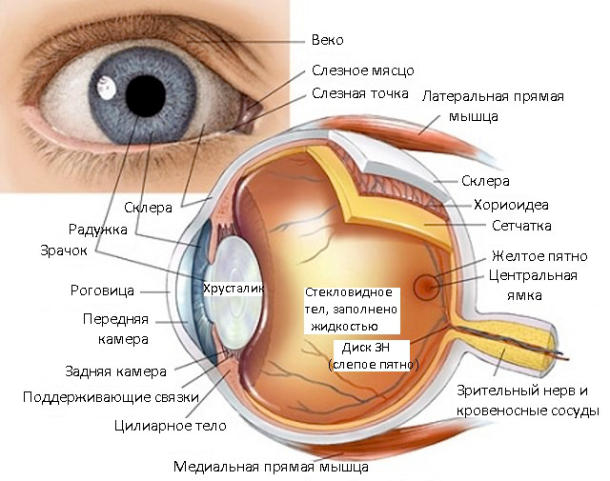 Иглотерапия при лечении глаз